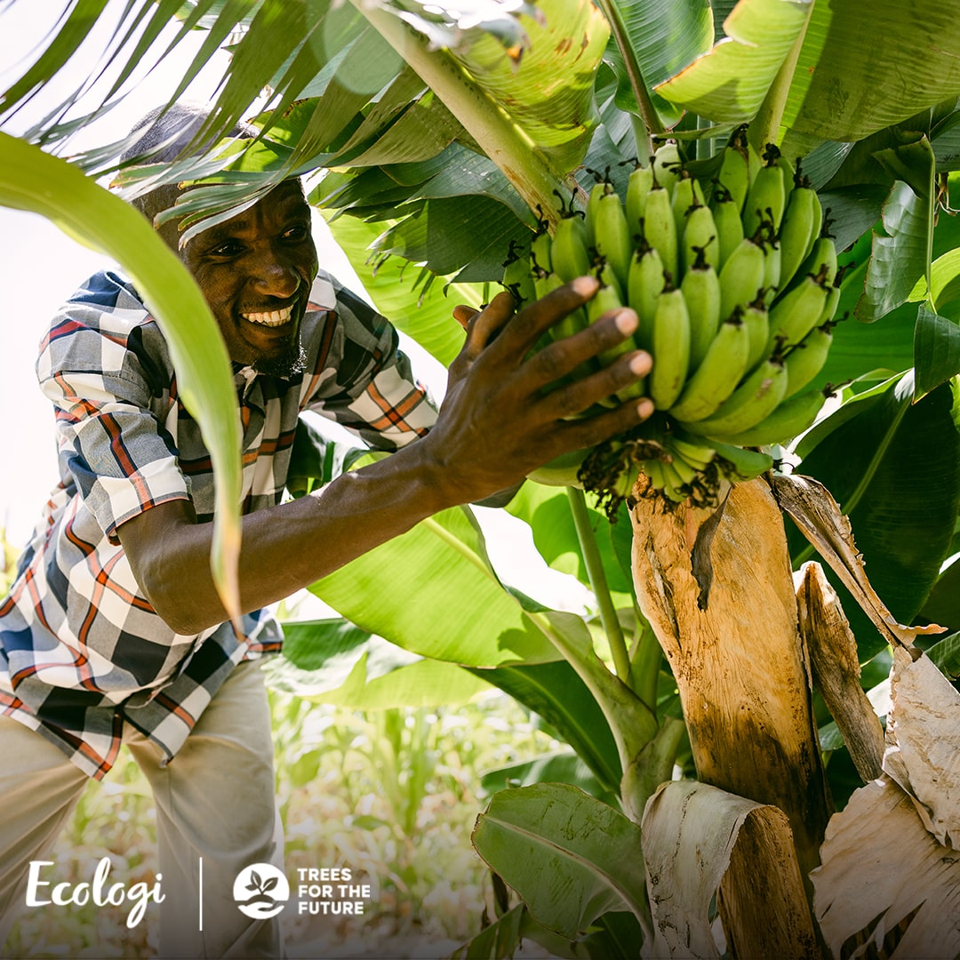 A man with an ecologi tree