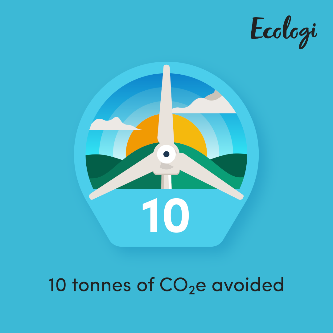 A bright blue award for avoiding 10 tonnes of CO2e from our partnership with Ecologi.